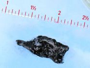 Antarctic Meteorite